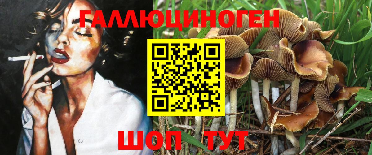 Псилоцибиновые грибы Cubensis  купить  цена  Вход с VPN  Кимры  Псилоцибиновые грибы мухоморы 