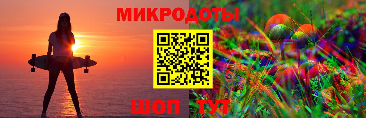 Галлюциногенные грибы Psilocybe Кимры